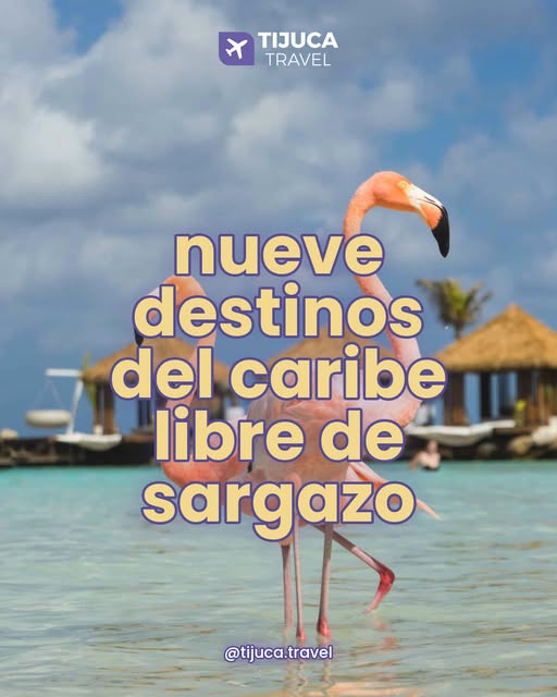 Nueve destinos del Caribe libres de sargazo